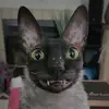 Wes - @wes.berg - TikTok