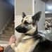 Wes Borgen - Facebook