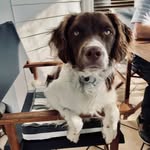 Wes Bourne - @wesley.bourne - Instagram
