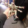 Wes Broughton - @wes.broughton - TikTok