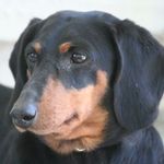 Wes Burcham - @wesburcham - Instagram