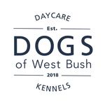 Dogs of West Bush - @dogsofwestbush - Instagram