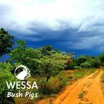 WESSA Bush Pigs - @wessa_bush_pigs - Instagram