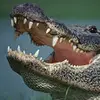 Wes Calloway - @wes.calloway - TikTok