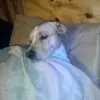 wesleycaudill219 - @wesleycaudill219 - TikTok