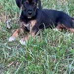 Weston caudill - @caudillweston - Instagram