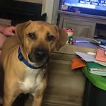 Weston Caudill - @westoncaudill - Instagram