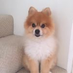 Wesley Cheng - @wescheng0617 - Instagram