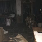 Wes Clark - Facebook