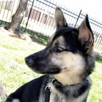Wescoe - @mrwescoe - Instagram