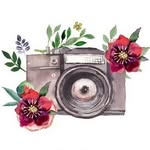 @wescoephotography - Instagram