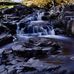 Wes Conn - Facebook