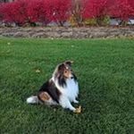 Wes Davey - @wes.davey - Instagram