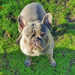 wes davidson - @huntingman1963 - Instagram