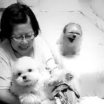 Arabella | Missy | Mia Flores - @missy.miaflores_westie - Instagram