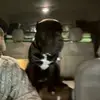 Wes Freeman - @wes.freeman4 - TikTok