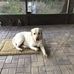 Wes Garrett - Facebook