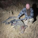 Wes Harmon - @wesharm - Instagram
