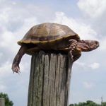 Wes Hoffman - @whoffman1 - Instagram