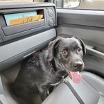 Wes Holmes - @xdjjericho - Instagram