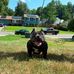 Wesley Holmes - Facebook