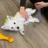 WESTIEHOUSE - @westiehouse - TikTok