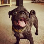 Wes Howell - @wjhowell16 - Instagram