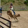weshunt - @weshuwaild3 - TikTok