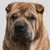 Weslaw - @weslaw36 - TikTok