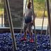 Wesley Leach - Facebook