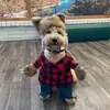 weslee._ - @weslee._ - TikTok