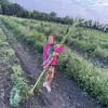 Weslee - @weslee.spam - TikTok