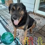 Wes Lester - Facebook