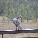 Wes Lester - @wes.lester - Instagram