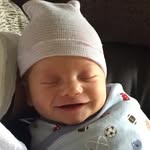 Wes Levinson - @wes.levinson - Instagram