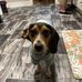 Wesley Little - Facebook
