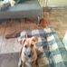 Larry West - Facebook