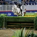 Wes Morrison PerformanceHorses - @wm_performance_horses - Instagram
