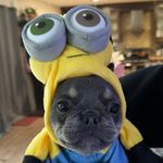 Wes Patrick - @wesleypatrick - Instagram