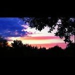 Wes Patterson - @wpatterson1 - Instagram