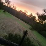 wes reed 13 - @wes_reed_13 - Instagram