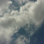 Wes Reed - @not_any_ - Instagram