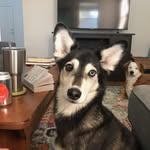 Wes Schultz - @wesmarsch - Instagram