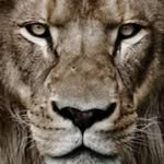 Wesley Seidel - @seidelwesley - Instagram