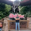 Wes Shepherd - @wesshepherd - TikTok