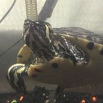 Wes Ward - @wes_ward88142 - Instagram