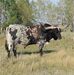Wes Weber - Facebook