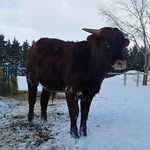 Wes Weber - @wes.weber.334 - Instagram