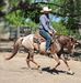 Wes Weber Performance Horses - Facebook
