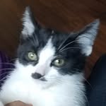 Wesley - @wesley_yoder__ - Instagram